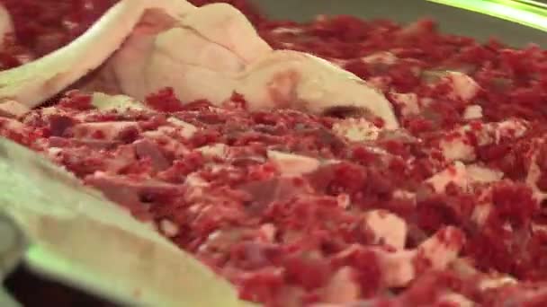 Producţia Cârnaţi Carnea Grăsimea Sunt Măcinate Într Mașină Specială Umplutura — Videoclip de stoc