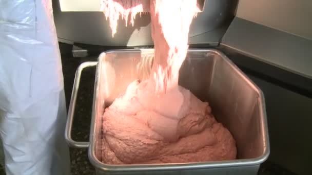 Produção Salsichas Carne Gordura São Moídas Uma Máquina Especial Recheio — Vídeo de Stock