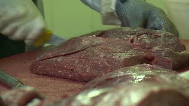 Producción Salchichas Carne Grasa Muelen Una Máquina Especial Relleno Resultante — Vídeos de Stock