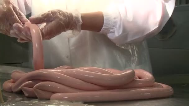Produção Salsichas Carne Gordura São Moídas Uma Máquina Especial Recheio — Vídeo de Stock
