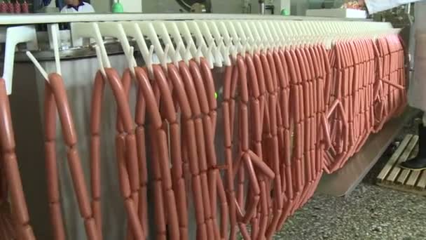 Worstproductie Vlees Vet Worden Gemalen Een Speciale Machine Resulterende Vulling — Stockvideo