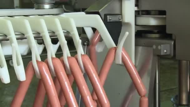 Producción Salchichas Carne Grasa Muelen Una Máquina Especial Relleno Resultante — Vídeo de stock