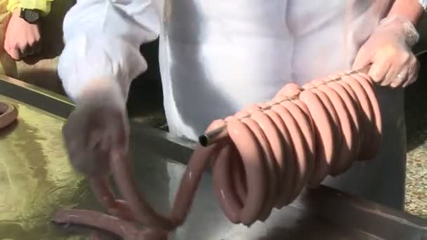 Worstproductie Vlees Vet Worden Gemalen Een Speciale Machine Resulterende Vulling — Stockvideo