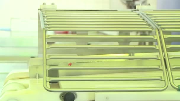 Producción Salchichas Carne Grasa Muelen Una Máquina Especial Relleno Resultante — Vídeos de Stock