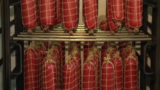 Production Saucisses Viande Graisse Sont Moulues Dans Une Machine Spéciale — Video