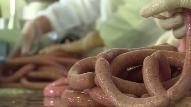 Kolbásztermelés Húst Zsírt Egy Speciális Gépben Őrlik Így Kapott Tölteléket — Stock videók