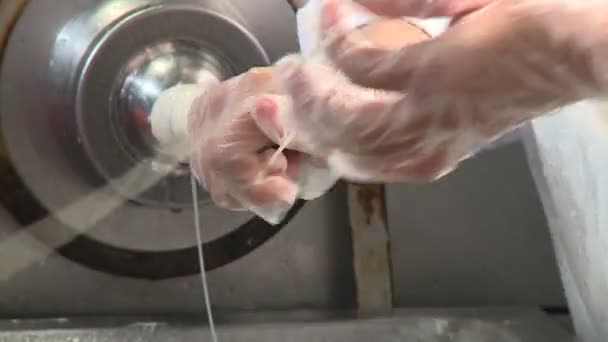 Production Saucisses Viande Graisse Sont Moulues Dans Une Machine Spéciale — Video