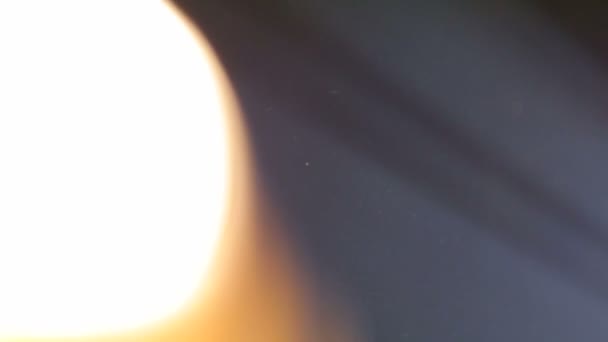 Різнокольорові Підсвічування Пилові Мухи Перед Світлом Мильні Бульбашки — стокове відео