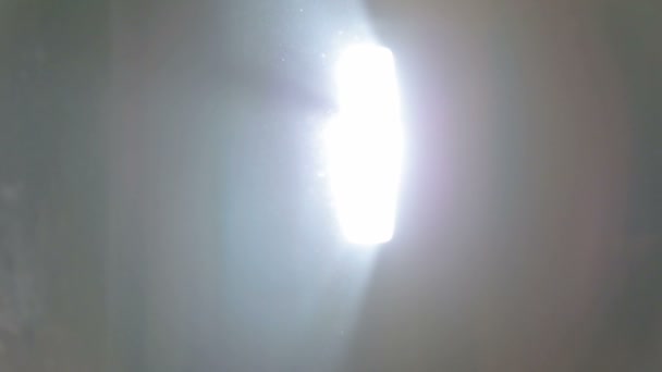 多色のハイライト 光の前にほこりが飛ぶ シャボン玉 — ストック動画