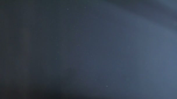 多色のハイライト 光の前にほこりが飛ぶ シャボン玉 — ストック動画