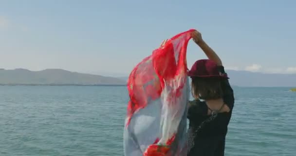 Une Fille Stait Sur Jetée Marchant Sur Plage Posant Devant — Video