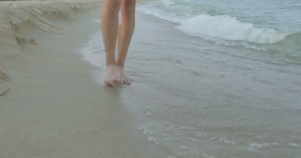 Una Chica Caminando Por Playa Posando Frente Cámara Sonrisas Caminar — Vídeos de Stock