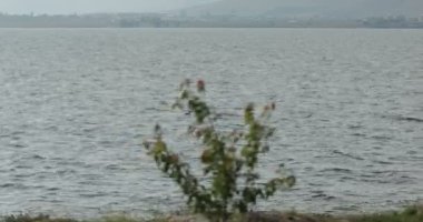 Dalgalar kumsalda ve kayalarda kırılıyor dalgalar farklı açılardan iniyor.,