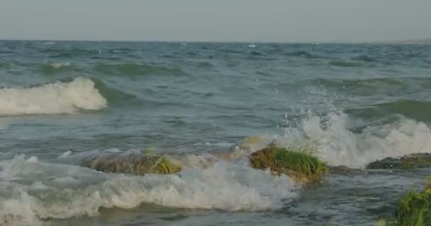 Onde Rompono Sulla Spiaggia Rocce Onde Che Scendono Diverse Angolazioni — Video Stock