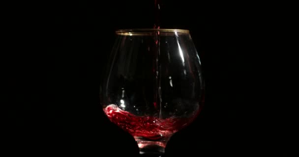 Pouring Red Wine Glass Front Black Background — Stock Video