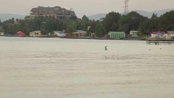 Meeuwen Zwemmen Vliegen Het Meer — Stockvideo