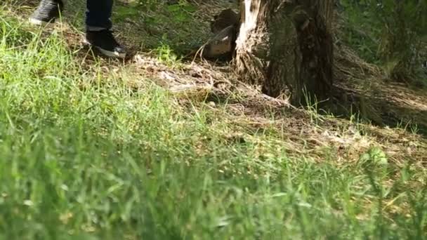 狙撃兵 迷彩服を着て 戦闘服 ライフル サブマシンガン トミーガン マシンカービンを手に 森の中を歩く 森の中を歩く スローモーション — ストック動画