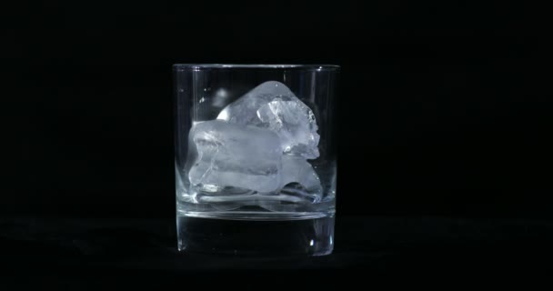 Cuburile Gheață Topesc Alcool Pahar Whisky Time Lapse — Videoclip de stoc