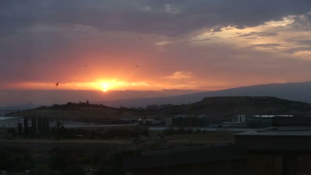 Zonsondergang Wolken Vogels Landschap Natuur — Stockvideo