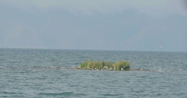 Dalgalar kumsalda ve kayalarda kırılıyor dalgalar farklı açılardan iniyor.,