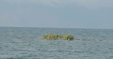 Dalgalar kumsalda ve kayalarda kırılıyor dalgalar farklı açılardan iniyor.,