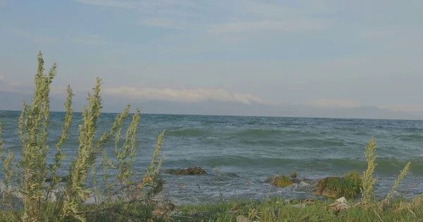 Fale Załamują Się Plaży Skałach Fale Opadają Różnych Kątów — Zdjęcie stockowe