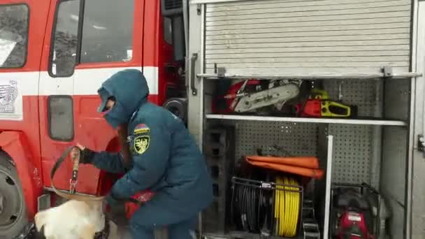 Gruppo Vigili Del Fuoco Soccorritori Alla Ricerca Vittime Tra Rovine — Video Stock