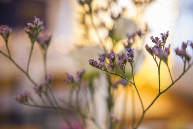 Faroe Adaları'ndaki bir düğün, düğün süslemeleri 