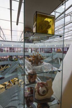 Faroe Adaları bir üniversitede iç 