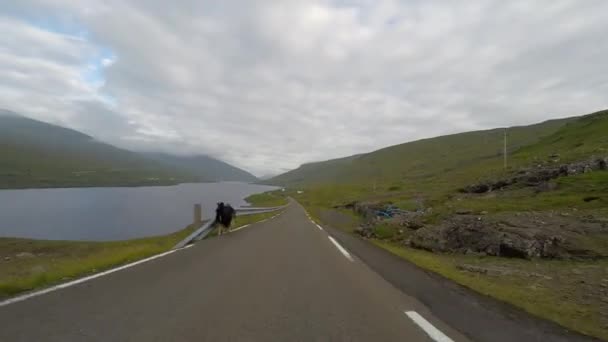 Traveling Countryside Faroe Islands — Stock Video