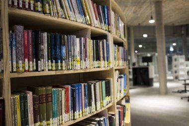 Faroe Adaları'nda bir üniversitede Halk Kütüphanesi 