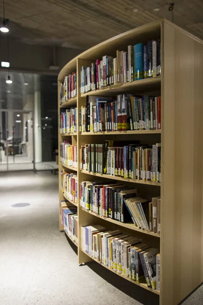 Biblioteca Pubblica Collegio Nelle Isole Faroe — Foto Stock
