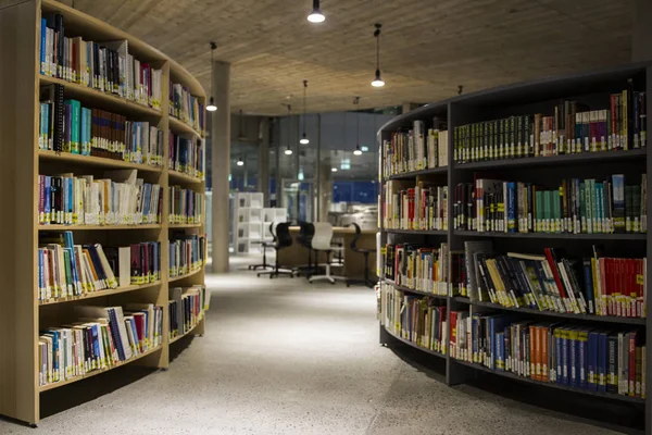 Offentlig Bibliotek Høyskole Færøyene – stockfoto