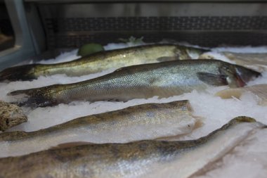 Balıkçılık endüstrisi için deniz ürünleri ve endüstriyel ekipmanlar 