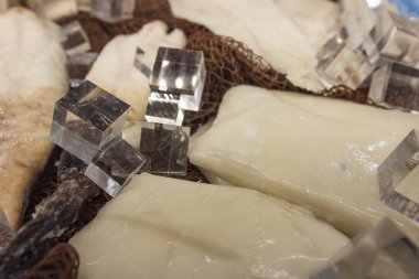 Balıkçılık endüstrisi için deniz ürünleri ve endüstriyel ekipmanlar 