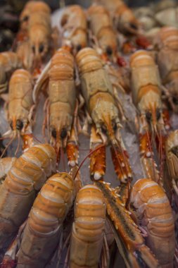 Balıkçılık endüstrisi için deniz ürünleri ve endüstriyel ekipmanlar 