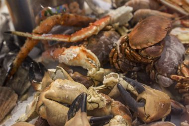 Balıkçılık endüstrisi için deniz ürünleri ve endüstriyel ekipmanlar 