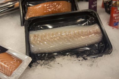 Balıkçılık endüstrisi için deniz ürünleri ve endüstriyel ekipmanlar 