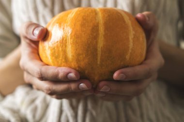 Kazaklı kadınların elleri balkabağı tutuyor. Sonbahar konforu, Cadılar Bayramı partisi, Şükran Günü.