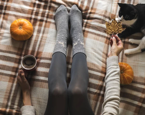 Womens hands and feet in sweater and woolen cozy gray socks holding cup of hot coffee, sitting on plaid with kitten, pumpkin, candles and leaves. Concept winter comfort, morning drinking. — Stock Photo, Image
