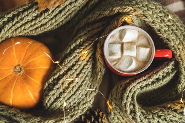 Automne nature morte de citrouille, feuilles, écharpe, tasse rouge de cacao, café ou chocolat chaud avec guimauve sur plaid chaud avec guirlande. Concept d'environnement confortable maison d'hiver . — Photo