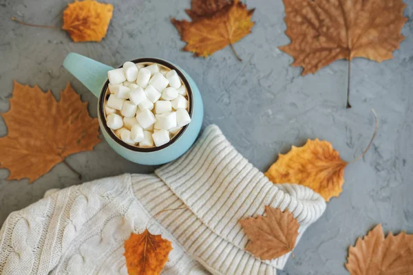 Tasse bleue avec café, chocolat chaud ou cacao avec guimauve sur fond de béton gris et feuilles sèches allongées et pull. Concept d'automne ou d'hiver chaleureux et confortable . — Photo