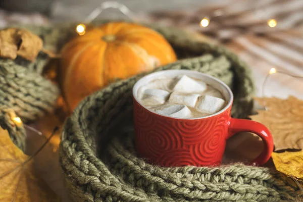 Осенний натюрморт из тыквы, листьев, шарфа, красной кружки какао, кофе или горячего шоколада с зефиром на теплой клетке с гирляндой. Концепция уютной зимней домашней среды . — стоковое фото