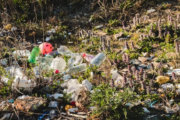 Ecological concept. Ecology problems of the planet Earth. Rubbish in places of rest by the sea. Plastic bottles among green grass and flowers.