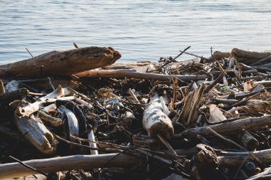Ekolojik kavram. Dünya gezegeninin ekoloji sorunları. Deniz indama yerlerinde çöp. Yeşil çim engebenve çiçekler arasında plastik şişeler.