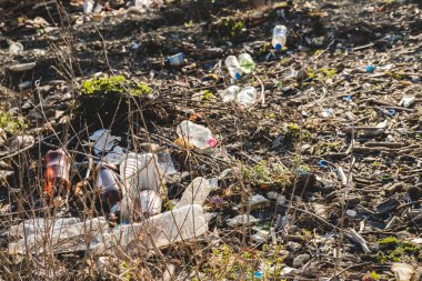 Ekolojik kavram. Dünya gezegeninin ekoloji sorunları. Deniz indama yerlerinde çöp. Yeşil çim engebenve çiçekler arasında plastik şişeler.