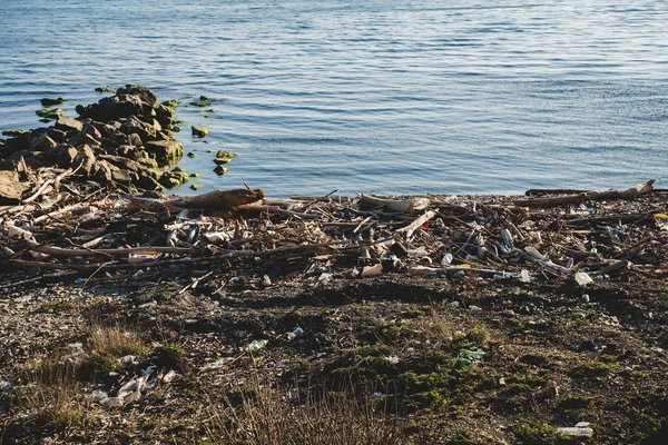 Ökológiai koncepció. Ökológia problémák a Föld bolygó. Vacak helyeken pihenés a tenger mellett. Műanyag palackok között zöld fű és a virágok. — Stock Fotó