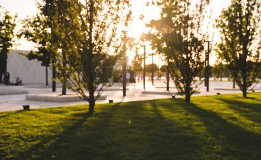 Parktaki ağaçlardan gelen uzun gölgelerle bulanık arka plan. Parkta yürüyen tanınmayan insanların siluetleri.