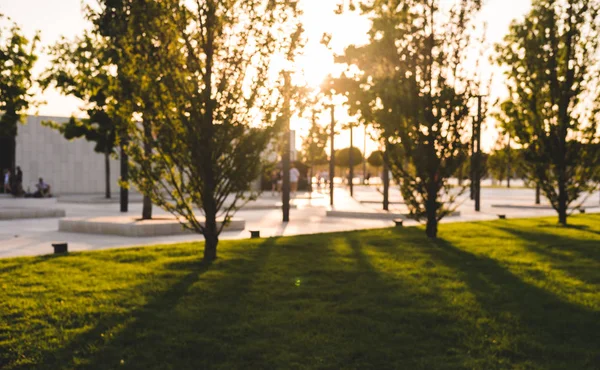 Parktaki ağaçlardan gelen uzun gölgelerle bulanık arka plan. Parkta yürüyen tanınmayan insanların siluetleri.