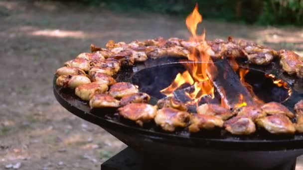 Parrilla redonda con fuego abierto en el interior. Cocinar pollo o pavo para un picnic de verano . — Vídeos de Stock